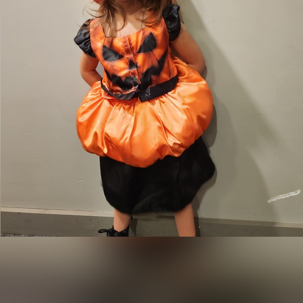 Pumpkin And Scarecrow Costume 2 In 1